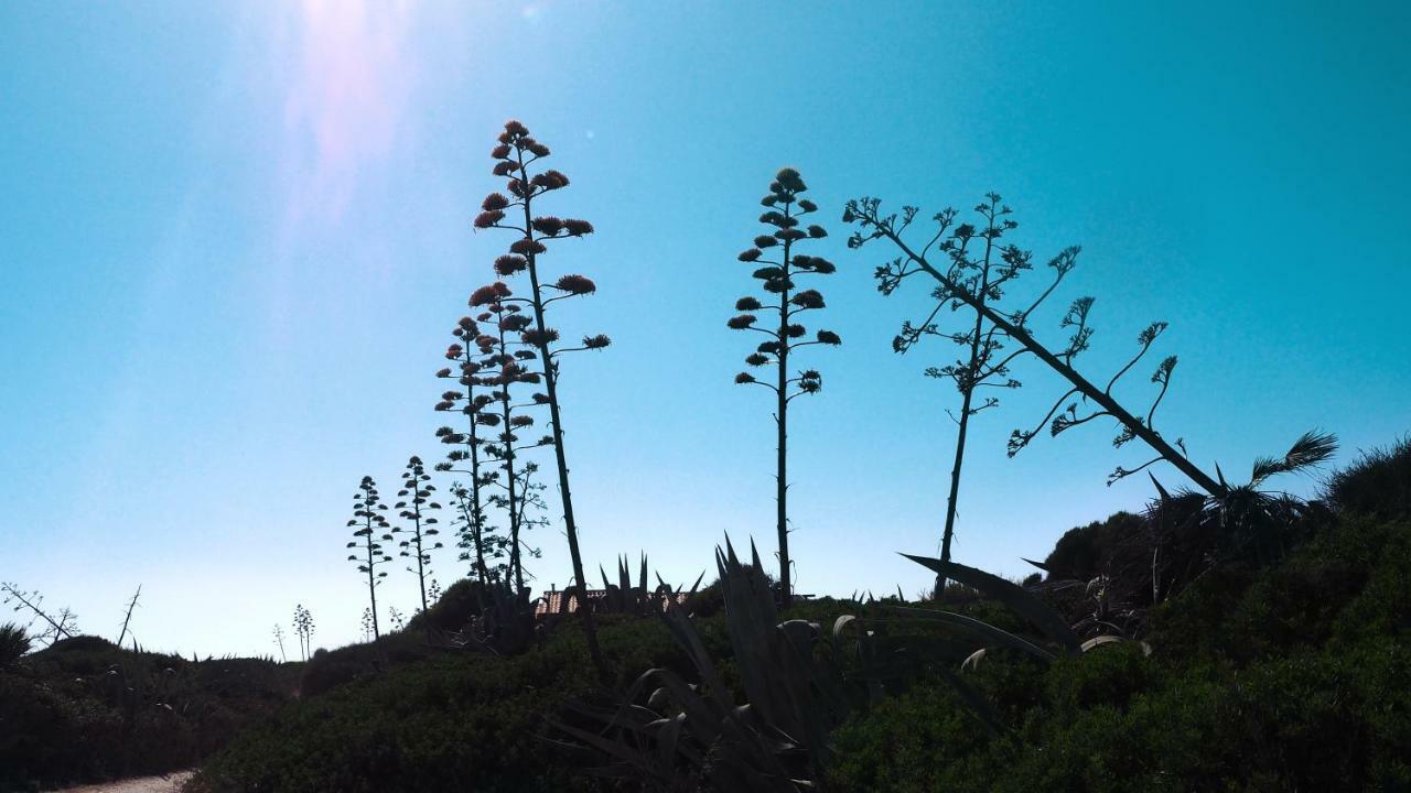 希克利Rosa Marina别墅 外观 照片