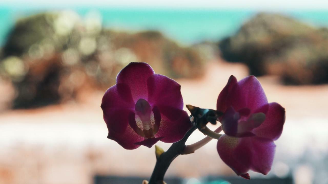 希克利Rosa Marina别墅 外观 照片